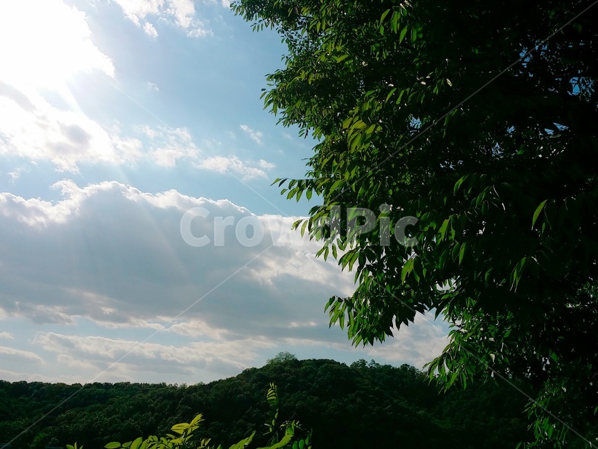 자연,nature,옥외,outdoors,하늘,sky,나무,tree,풀,구름,cloud