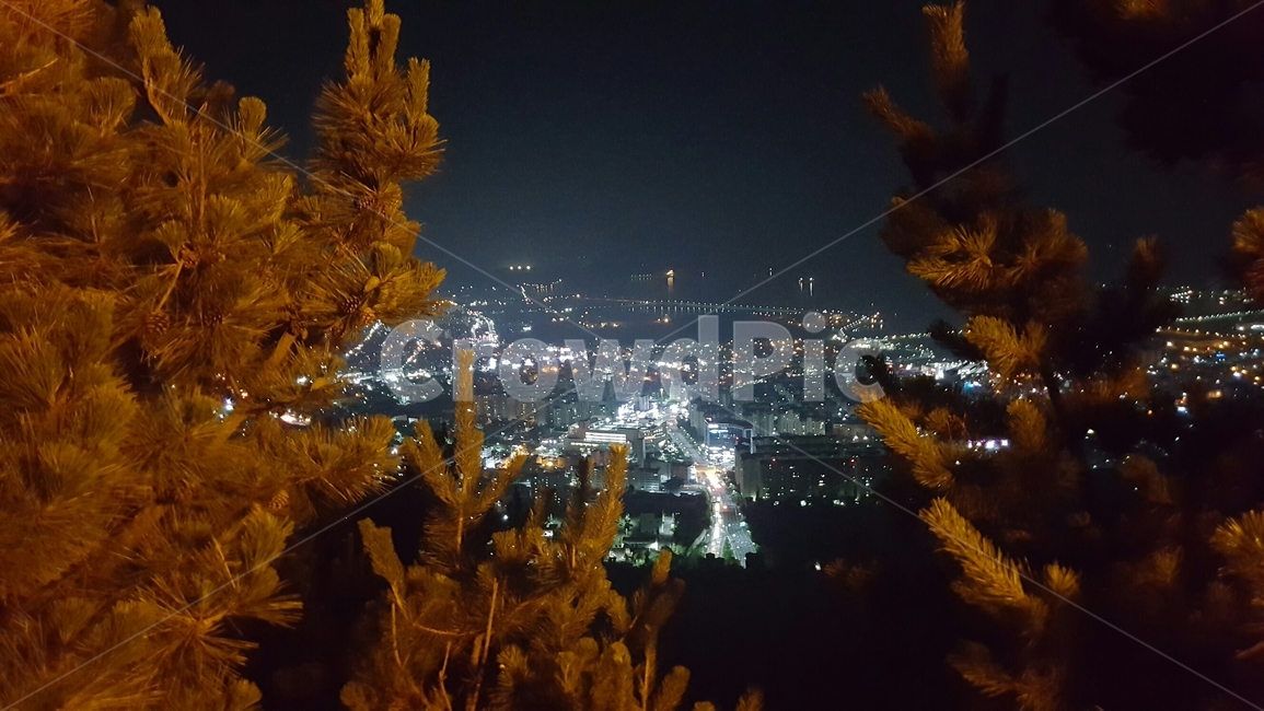 night view,changwon city,city,Anmin Pass,fire,Jinhae