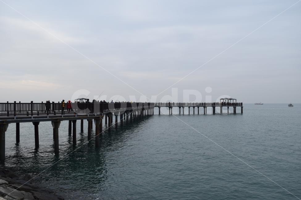 궁평항,바다,다리,이미지사진,감성사진,겨울,여행,자연,풍경,nature,landscape,water,물,waterfront,워터 프론트,port,포트,pier,교각