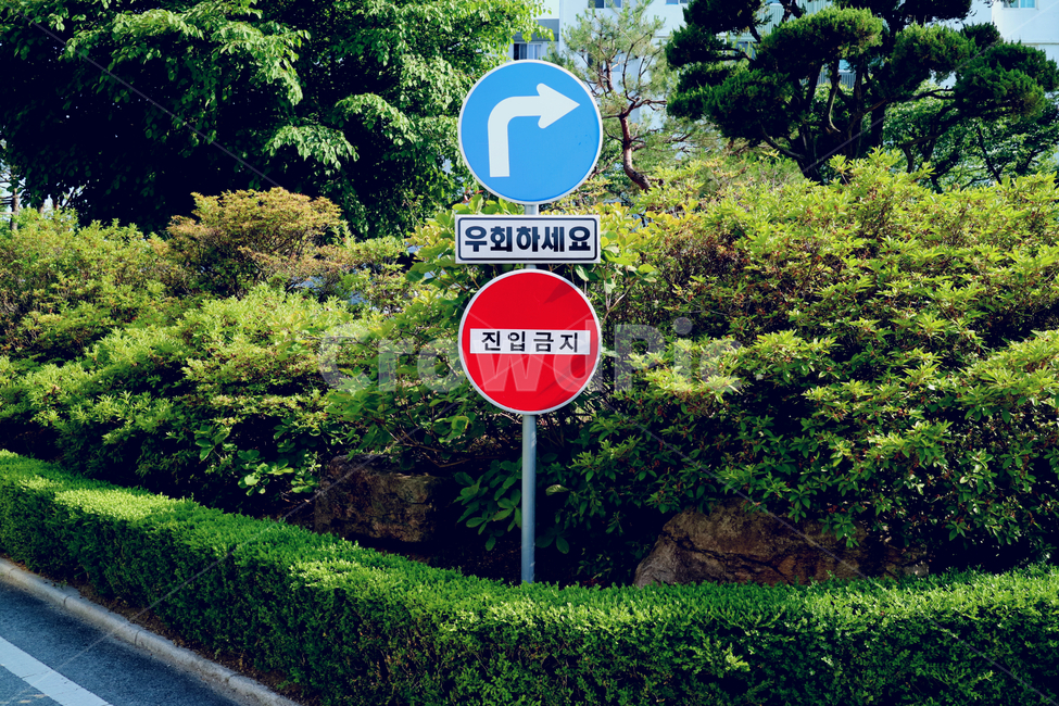 표지판,정지,우회전,진입금지,안내판,간판