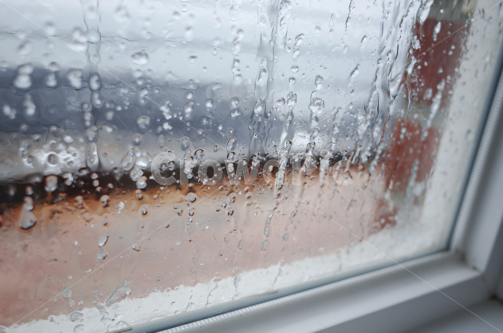 outdoors,옥외,창문,window,ice,rain,snow,눈,비,우박,얼음,흐르는,흘러내리는,고여있는
