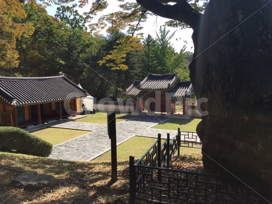 한국적,한국전통,전통적인,정원,한국정원,소풍,야외,수학여행,여행,한국기와,전통가옥,한국양식,기와집,유적지,사당,종묘,한국전통,한국문화,korean traditional,korean culture,랜드마크,landmark,tourist attraction,한국랜드마크,한국관광지,한국명소,korea landmark,korea tourist attraction