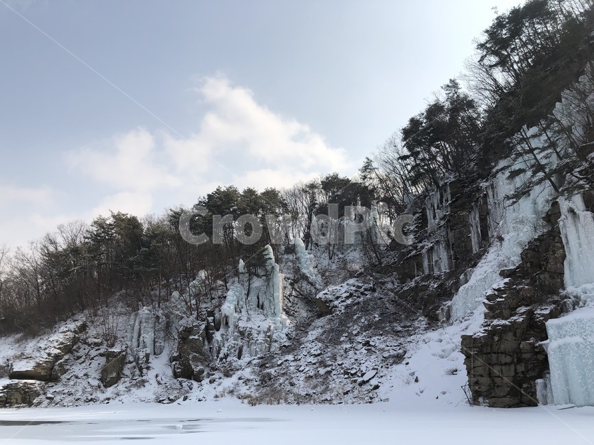 자연,눈,겨울,환경,풍경,겨울,계절,winter,season,자연,풍경,nature,landscape,한국자연풍경,한국자연경관,korea nature landscape,plant,식물,tree,나무,abies,아비,fir,전나무