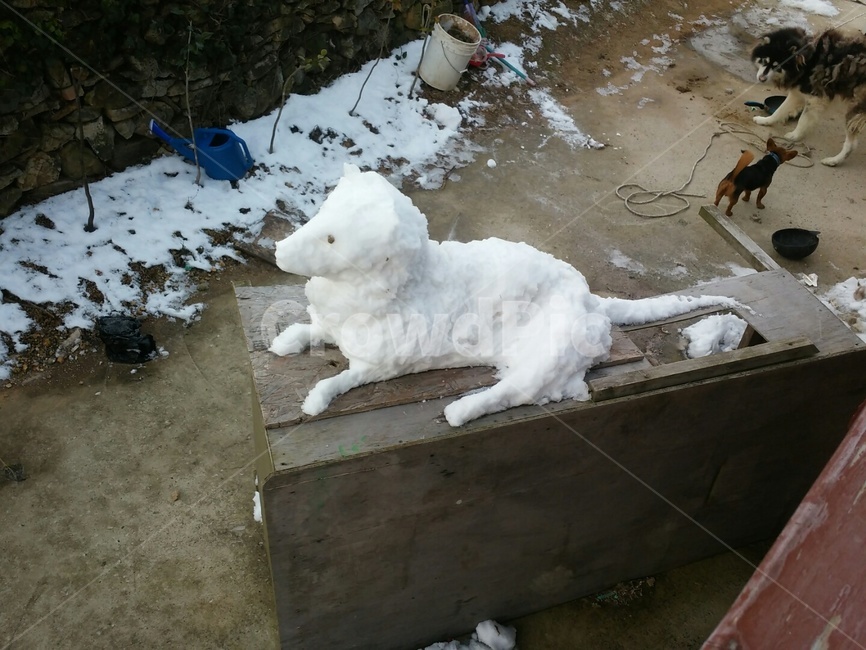 눈사람,조각,강아지,겨울,작품