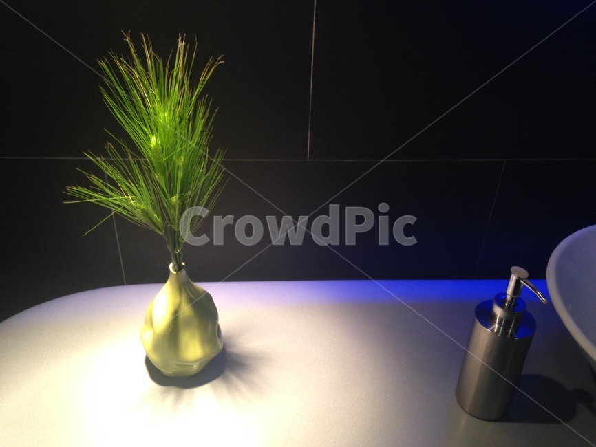 화병,vase,green,plant,식물