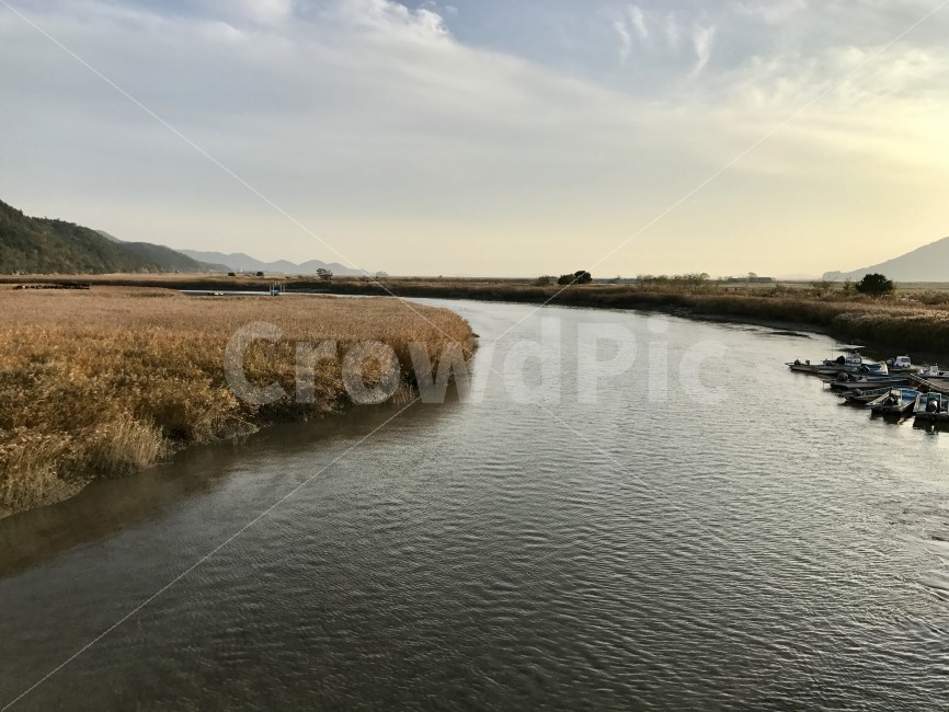 순천,순천만,갈대,여행,관광지,관광,강,하구,풍경,자연풍경,해질녘,자연,풍경,nature,landscape,water,물,outdoors,옥외