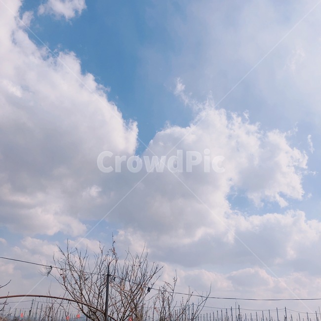 하늘,구름,파란하늘,풍경,sky,clude,blue,white