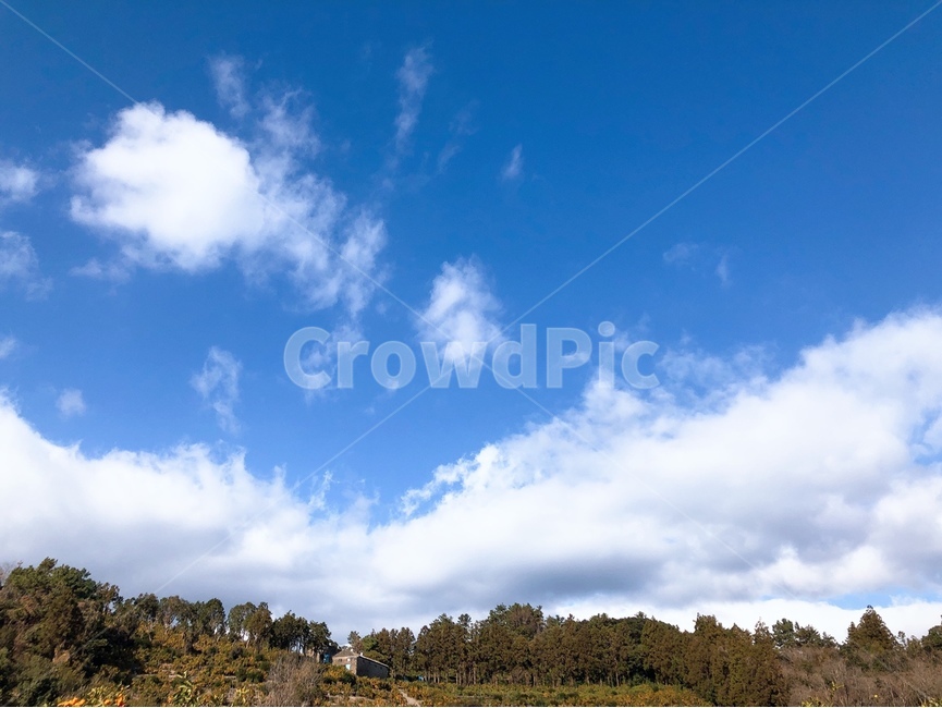 날씨,하늘,nature,자연,sky,제주도