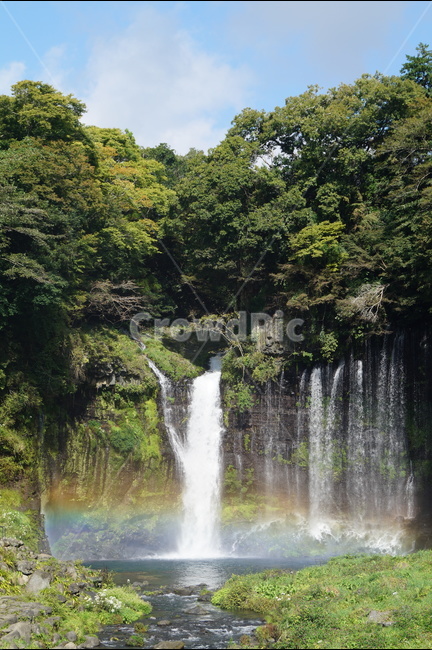 일본,시라이토폭포,폭포,무지개,조화로움,자연,풍경,nature,landscape,해외,외국,세계,foreign,oversea,world,세계자연풍경,해외자연풍경,외국자연풍경,world nature landscape,water,물,river,강,outdoors,옥외,waterfall