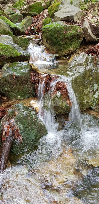 water,물,nature,자연,outdoors,옥외,river,강,산,산속,mountain