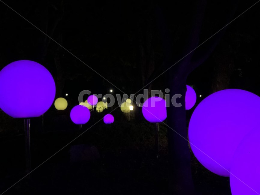 밤,야경,조명,빛,조형물,led,야경,밤,풍경,nightscape,night,landscape,lighting