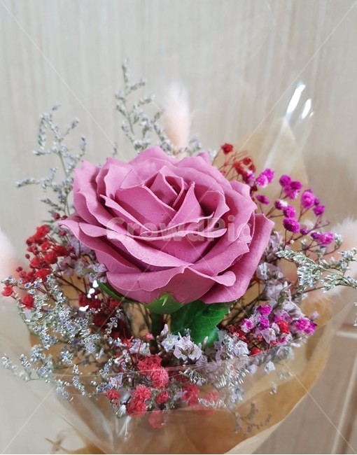 비누꽃,장미,꽃,장미꽃,꽃다발,식물,자연,plants,nature,꽃,flower