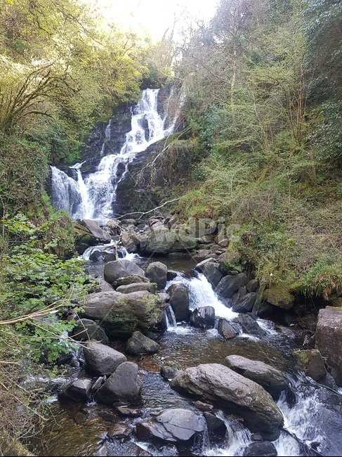 폭포,물,자연,환경,돌,자연,풍경,nature,landscape,water,outdoors,옥외,river,강