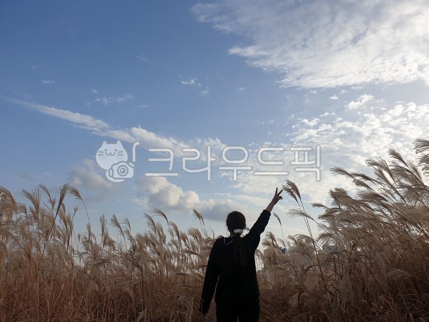 갈대,reed,가을,뒷모습,서있는뒷모습,가을하늘