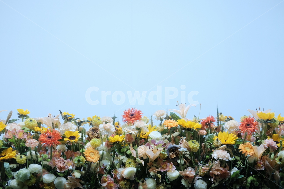 꽃밭,꽃,꽃다발,정원,풀밭,봄,계절,spring,season,식물,자연,plants,nature,꽃,flower,감성,sensible,feeling,plant,blossom,flower bouquet,꽃 부케,flower arrangement,꽃꽂이