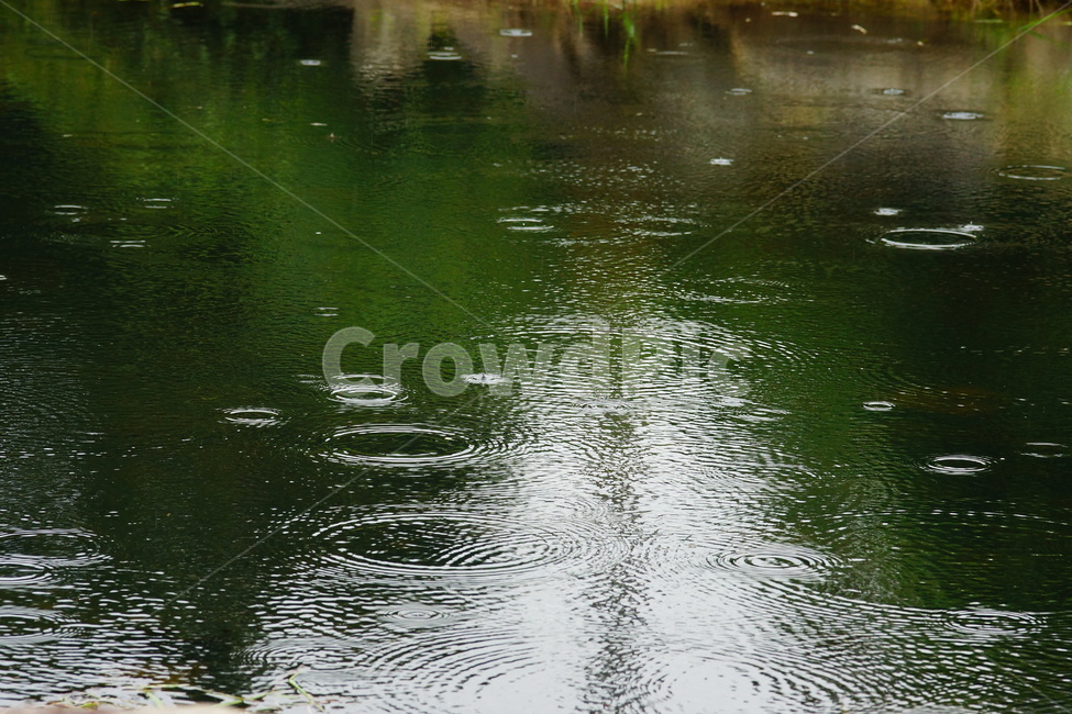 water,물,outdoors,옥외,빗물