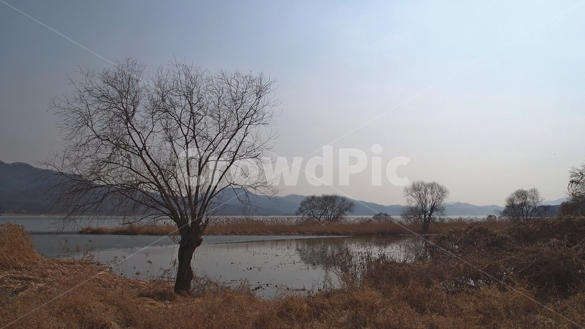 두물머리,풍경,가을,나무,강,자연,풍경,nature,landscape,한국자연풍경,한국자연경관,korea nature landscape,land,땅,outdoors,옥외,plant,식물,tree