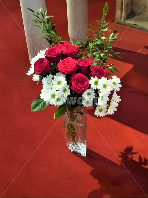 장미꽃,화병,꽃병,장식,생화,이쁘다,rose,flower,꽃,빨강색,red,하얀꽃,white,vase,decoration,arawflower,beautiful,꾸미다,인테리어,화려하다,꽃,flower,실내용화초,화분,화초,house plant
