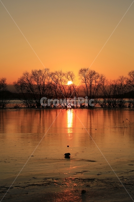 노을,일몰,탑정호,호수,논산,반영,해,sunset,풍경,landscape,자연,풍경,nature,landscape,outdoors,옥외,sky,하늘,dawn,새벽,dusk,황혼,red sky,붉은 하늘