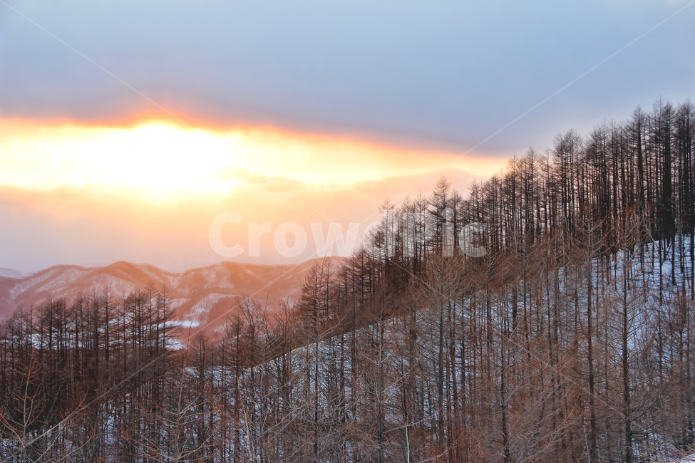 노을,일몰,색감,감성사진,감성,풍경,겨울,계절,winter,season,자연,풍경,nature,landscape,outdoors,옥외