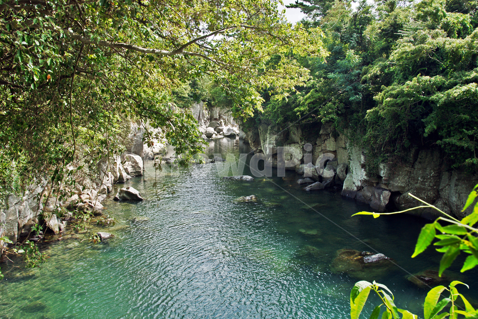 용연,협곡,제주도,계곡,용암,명승지,영주십경,신록,자연,자연,풍경,nature,landscape,한국자연풍경,한국자연경관,korea nature landscape,제주도,jeju,jeju island