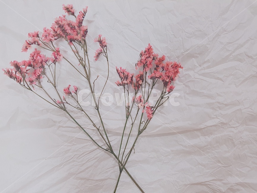 꽃,풀,조화,꽃다발,flower,bundle,꽃,flower