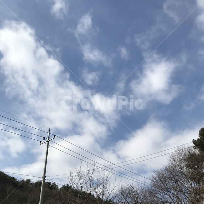 파란색,구름,나무,전봇대,가을하늘