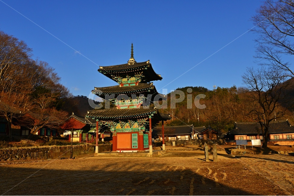 전남,화순,쌍봉사,유적지,문화재,대웅전,pagoda,탑,building,건물,worship,예배,architecture,건축물,사찰,절,한국전통,한국문화,korean traditional,korean culture,건축물,건물외관,exterior,building,structure,architecture,construction