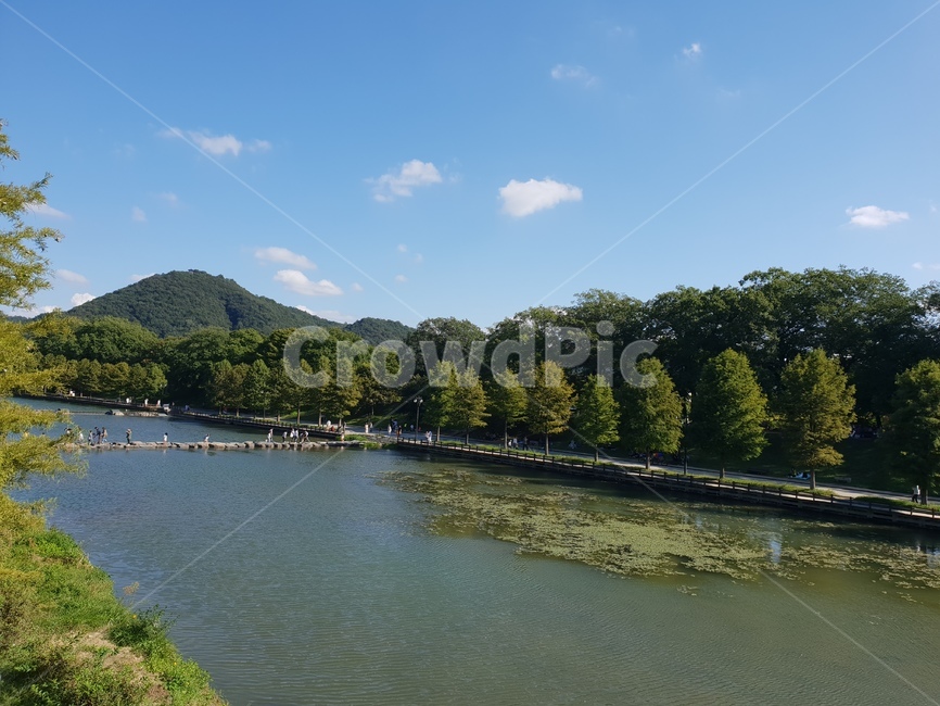 담양,담양풍경,호수,푸른하늘,하늘,나무,water,물,nature,자연,outdoors,옥외