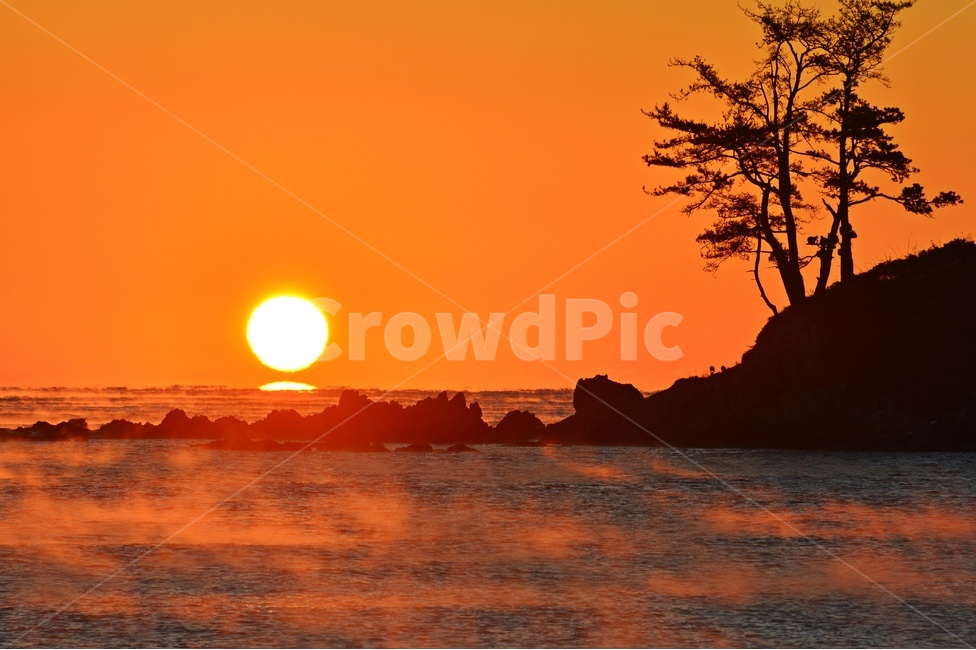 nature,자연,outdoors,옥외,sky,하늘,dawn,새벽,redsky,붉은하늘,sunlight,햇빛,울산,울주,명선도,강양항,명선도아침,일출,해돋이,여명,소나무,경치,경관,풍경,물안개,자연,풍경,nature,landscape