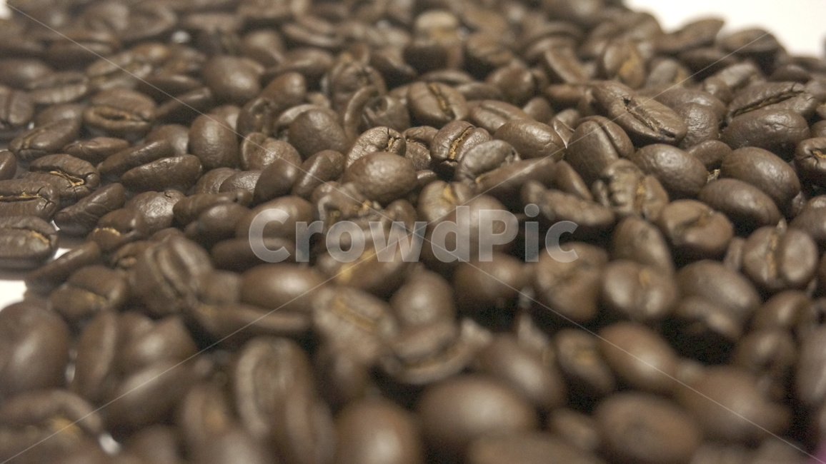 원두,원두커피,로스팅,커피,cafe,드립커피,스코트레버러토리,워시드방식,커피,카페,coffee,cafe