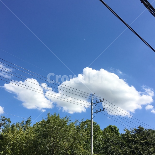 하늘,구름,전봇대,나무,가로수,여름,계절,쨍한,새파란,sky,cloud,summer