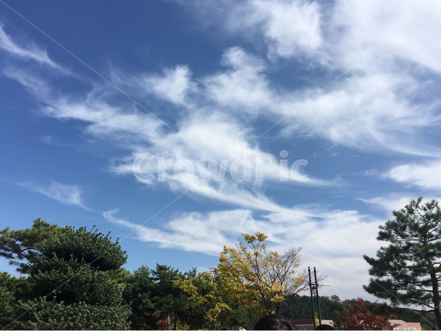 구름,하늘,cloud,자연풍경,풍경