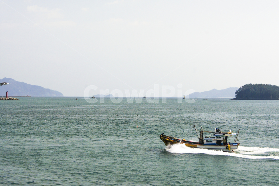 선박,boat,바다,배,낚시,어업,fishery,fishing industry