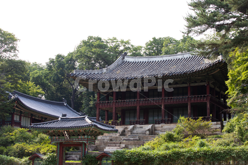 창덕궁,궁궐,전통한옥,창덕궁후원,전통,한국전통,한국문화,korean traditional,korean culture,랜드마크,landmark,tourist attraction,한국랜드마크,한국관광지,한국명소,korea landmark,korea tourist attraction,건축물,건물외관,exterior,building,structure,architecture,construction