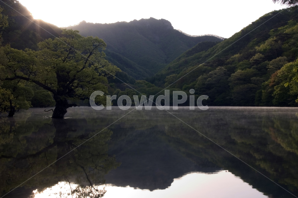 주산지,풍경,일출,반영,봄,자연,풍경,nature,landscape,water,물,outdoors,옥외