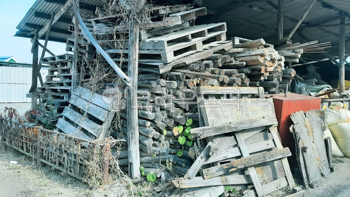 countryside,pallet,tree,Waste wood materials,storage,Threat roof,For firewood,material,firewood,palette,abandoned tree,country house