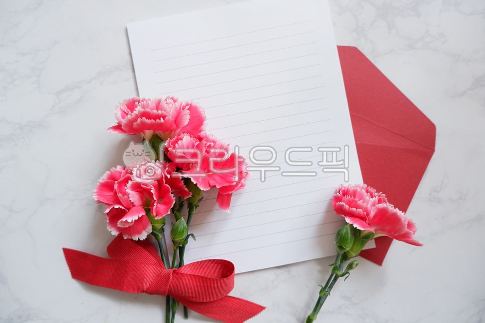 Teachers Day Letter,Family Month Background,pink,carnation background,carnation,carnation flower,Teachers day,family month,blossom,parents day background,Parents Day Letter,ribbon,Mothers Day,Teachers Day Card,flower,Red,Parents Day Card,envelope,plant,Te