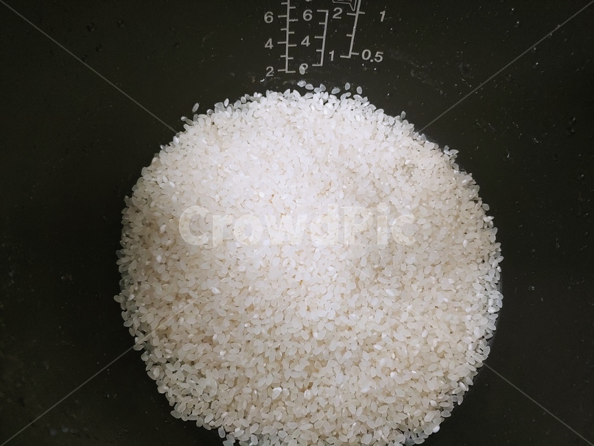 쌀,쌀밥,밥짓기,food,밥,쌀씻기
