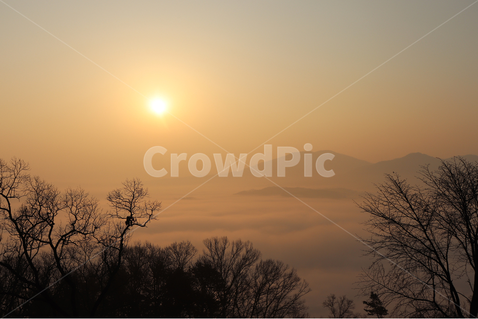 nature,자연,outdoors,옥외,일출,운해,안개,나무,풍경,해,구름,산,노을,자연,풍경,nature,landscape