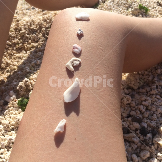 해변,돌,자갈,흰자갈,여름,해변,바다,beach,sea,신체일부,몸,body