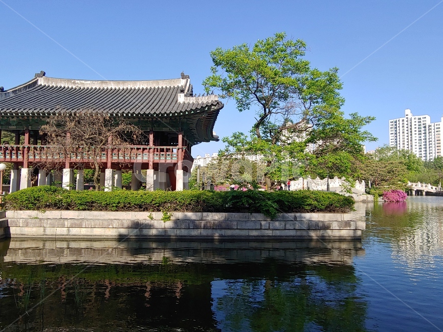 공원,building,건물,architecture,건축물,한옥