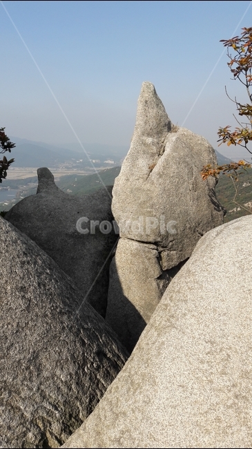 용봉산,바위,삽살개,가을,나무,자연,풍경,nature,landscape,한국자연풍경,한국자연경관,korea nature landscape