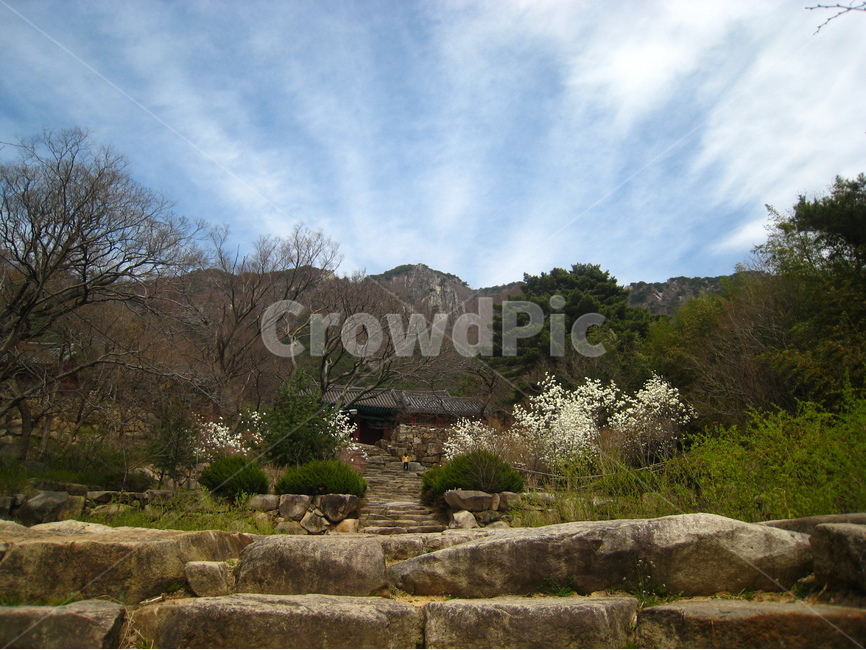 절,돌,계단,돌계단,나무,하늘,구름,풍경,temple,stone,rock,tree,sky,cloud,blue,green,stairs,scenery,landscape,자연,풍경,nature,landscape,한국전통,한국문화,korean traditional,korean culture,outdoors,옥외,building,건물