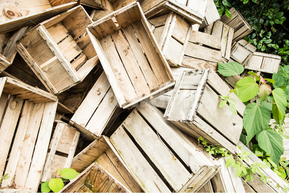 chest,old,tree,mold,To stack up,apple box,desolate,background,complicated,wooden box,quiet,abandoned,fruit box