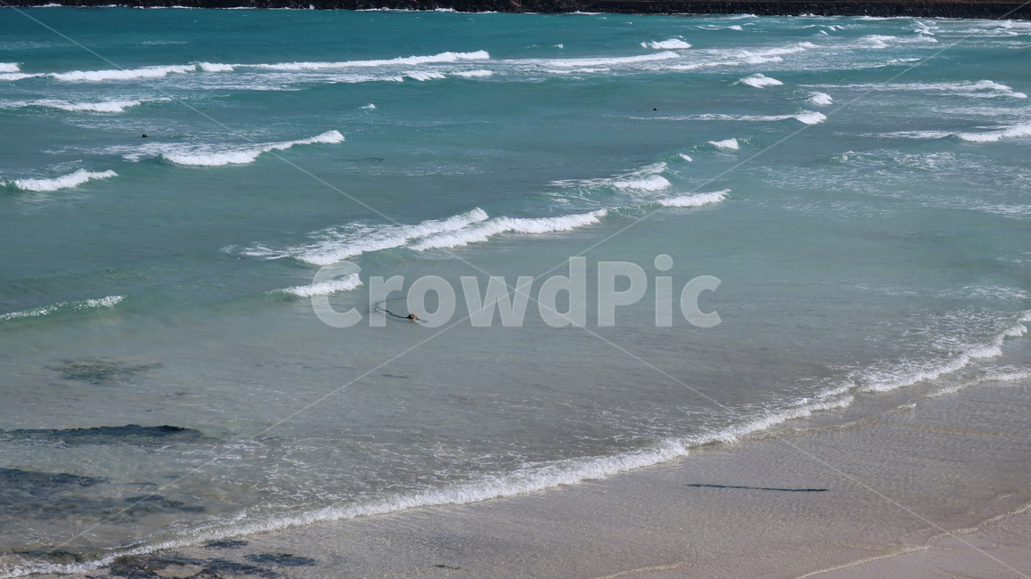 바다,파도,겨울바다,하늘색,푸른,해변,바다,beach,sea