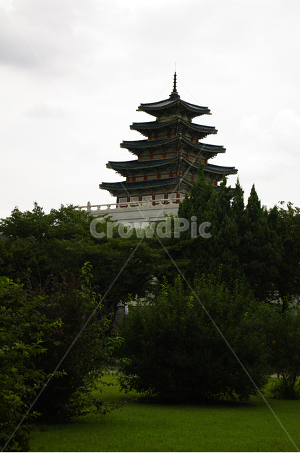 경복궁,나무,하늘,구름,전각,전통건축,한국전통,한국문화,korean traditional,korean culture,랜드마크,landmark,tourist attraction,한국랜드마크,한국관광지,한국명소,korea landmark,korea tourist attraction,건축물,건물외관,exterior,building,structure,architecture,construction