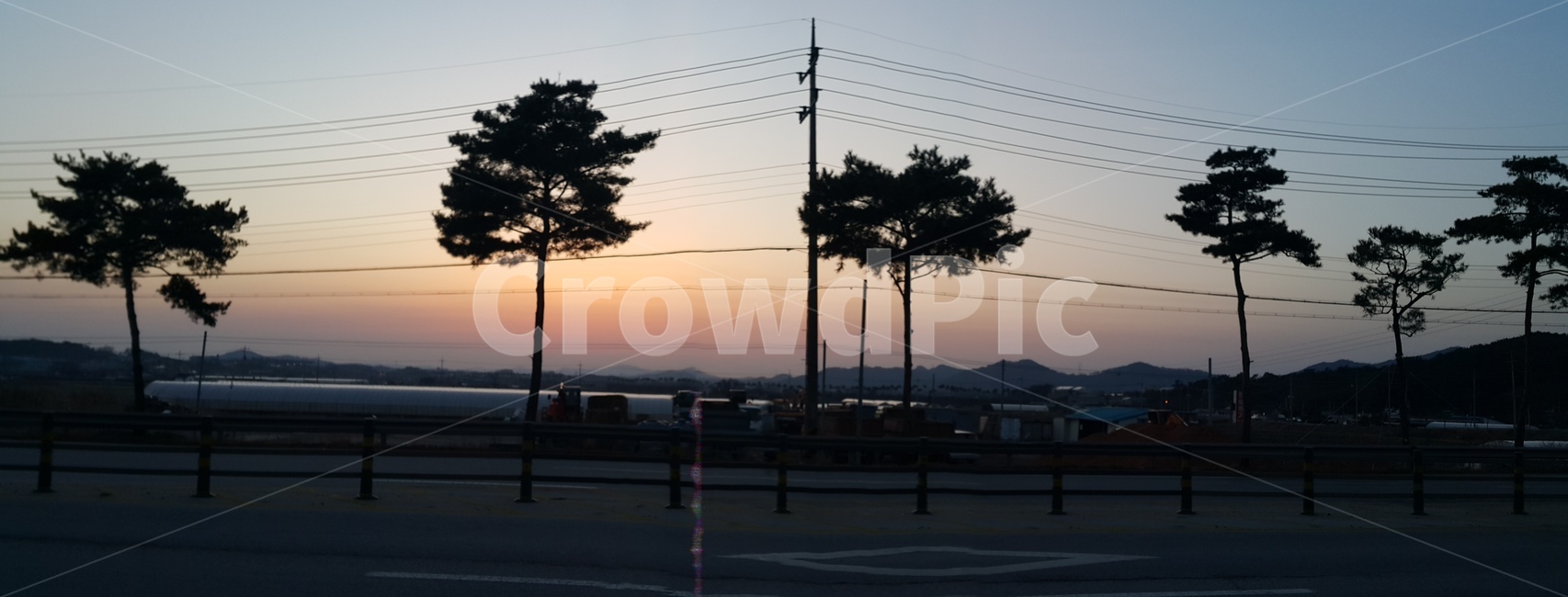 도로,소나무,해질녘,노을,파노라마