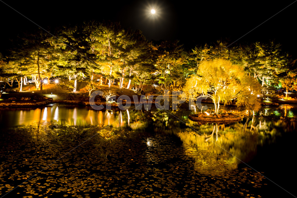 야경,경주,안압지,동궁과월지,신라유적,nature,자연,outdoors,옥외,water,물