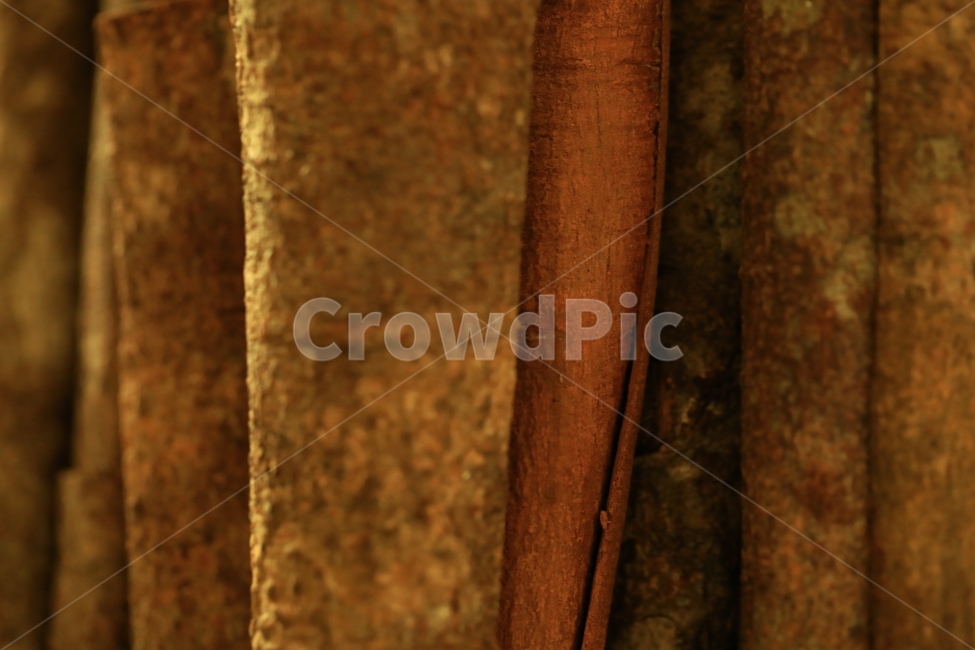 계피,패턴,배경,갈색,나무,껍질,텍스처,질감,패턴,texture,pattern